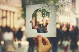 Neurodegenerative Erkrankungen – ganzheitliches Therapiekonzept mit Ernährungsmedizin (24.06.2026)