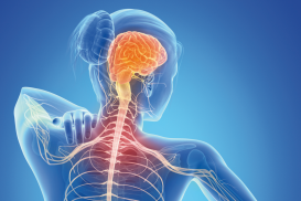 Mediathek: Autoimmunerkrankungen ganzheitlich therapieren (12.02.2025)